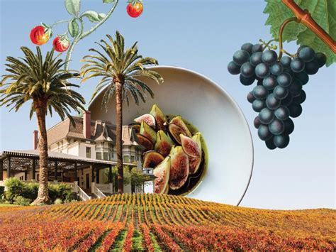 what's happening healdsburg|What's Happening Healdsburg .